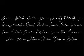 Orchest Luxury Calligraphy Font