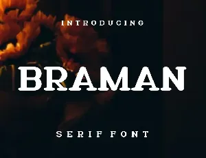 Braman Font