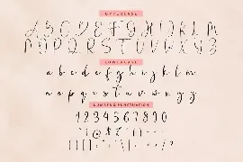 Fanish Signature - Elegant Font