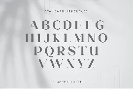 Milkipa Stylish Font