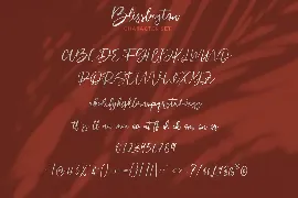 Blisslayton Script Font