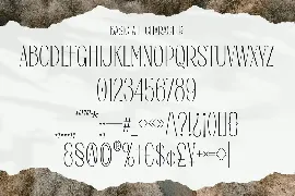 Regysca Elegant Modern Serif Font