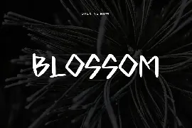 Bocast Japan Style Display Font