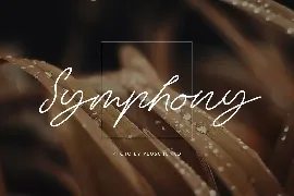 Amandine Monoline Script Handwritten Font