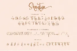 Shantina A Modern Calligraphy Font