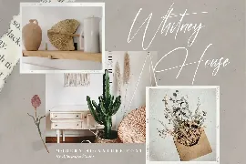 Alessana Modern Signature Font