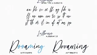 Losthouse Fancy Script Font