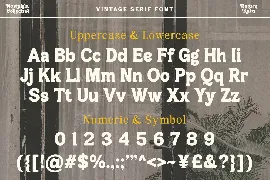 Nostalgia Collective - Vintage Serif font