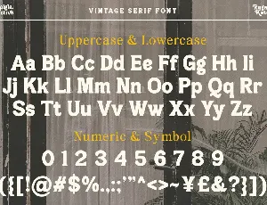 Nostalgia Collective - Vintage Serif font