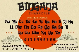 Bingana - Playful Decorative Font