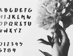 Wedix - Handwritten Font