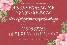 Bezitta - Handwritten Font