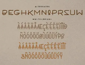 Choorse Fun Rough Sans Serif Display font