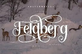 Feldberg font