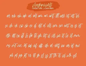 Mashpoints Handwritten Script Font