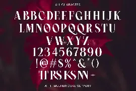 Crimson Queen - Modern Serif font