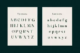 Rattagan - Display Serif Font