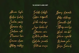 Heavenllys Fancy Script Font