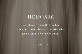 Hedonia Serif Font