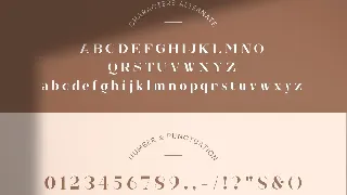 Hedonia Serif Font