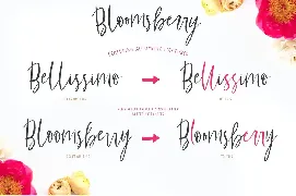 Bloomsberry Font Family