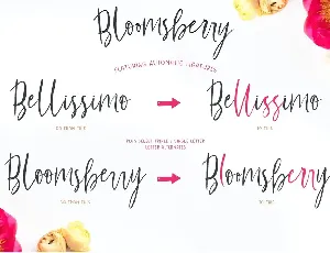 Bloomsberry Font Family