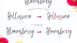 Bloomsberry Font Family