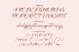 Chanysa Hamida Script Font