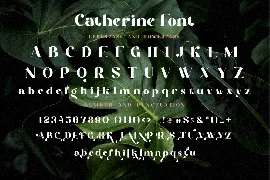 Catherine Serif New font