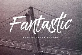 Paradise Typeface font