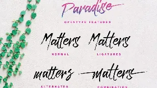 Paradise Typeface font