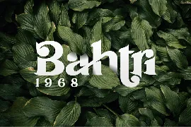 Gafiera Font