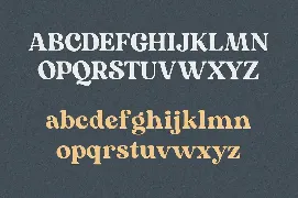 Mogena - Elegant Serif Font