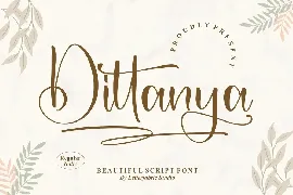 Dittanya Beautiful Script Font