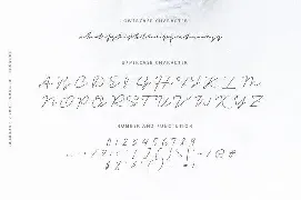 Ankara - The Realistic Signature font