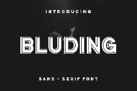 Bluding Font