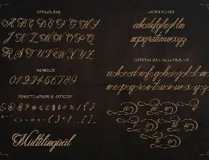 Metalurdo - Elegant Calligraphy Font