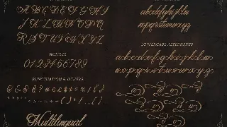 Metalurdo - Elegant Calligraphy Font