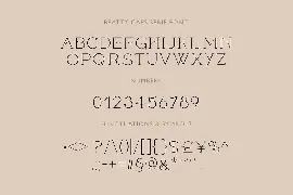 Ligature rich font