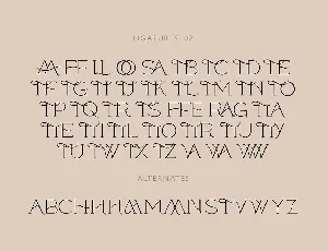 Ligature rich font