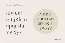 Gingko Ligature Typeface font