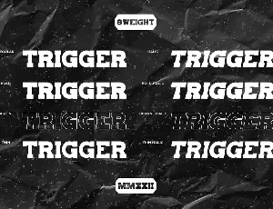 Trigger slab serif font