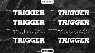 Trigger slab serif font