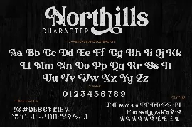 Northills | Retro Rough Font