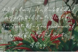 Hutellan Signature font