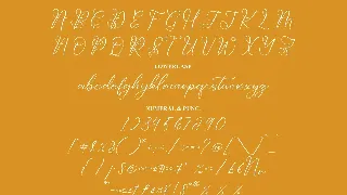 Dolventias Beautya Script Font