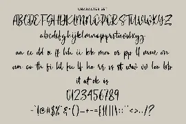 Monesstry Handwritten Script font