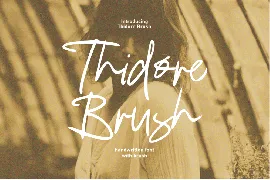 Thidore Brush font