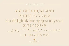 Volgue - Chic Modern Typeface font