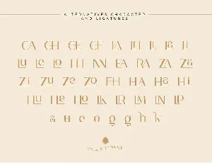 Volgue - Chic Modern Typeface font